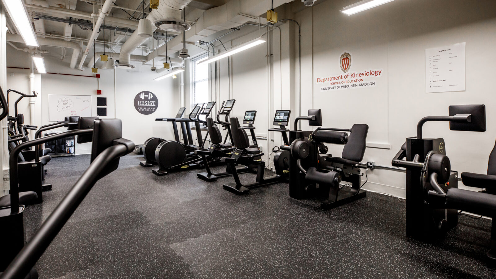 Gym in the Wellbeing and Exercise Laboratory