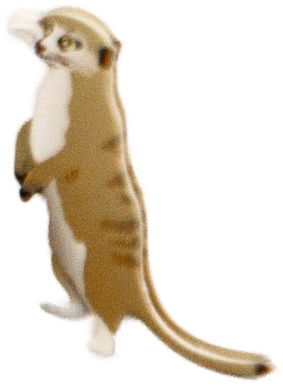 meerkat sticker